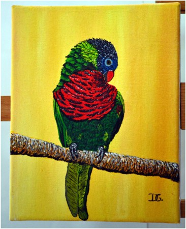 LORIQUET ORNE, toile acrylique 24X19. Prix : 50 €