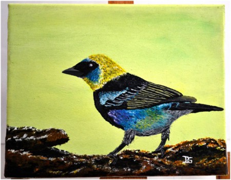 TANGARA FANNY, toile acrylique 24 X 19 . Prix : 50 €