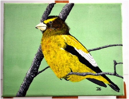 GROS BEC ERRANT, toile acrylique 24X19. Prix : 50 €