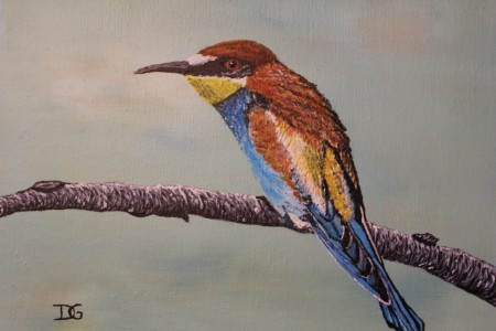 Martin pêcheur, toile acrylique 24 X 19. Prix: 50 €