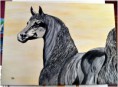 /album/galerie-de-tableaux-chevaux/a39-jpg/